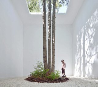 15 Brilliant Designs That Work Around Nature - Photo 1 of 15 - Anouk Vogel's installation "Courtesy of Nature" is built around the natural environment in Quebec.