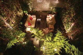This Modern Home in Singapore Is a Living Urban Jungle - Photo 3 of 12 -