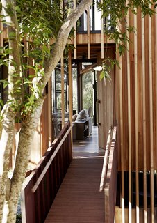 A Floating South African Cabin Borrows From the Landscape - Photo 1 of 9 -