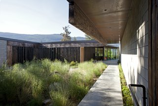 All of the plants are native to the area. "I was trying to re-create what I have out my front door, where the park starts," says Jon, who worked on the landscaping with Jones. "The garden is also super low-impact. I don’t water it at all, and my kill rate is less than five percent." 