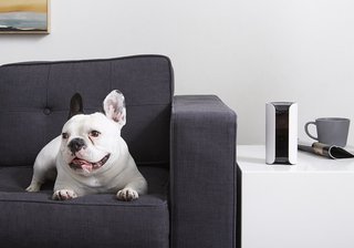 11 Smart Home Devices For an Efficient Home - Photo 9 of 11 -