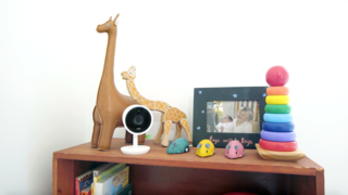 Revamping the San Francisco Vernacular, Modern Design and Technology Serves A Busy Family - Photo 7 of 7 - "It's great to be able to check in anytime or be notified if something is going on. I find the little reminders about the family's activity in the house to be a fun distraction throughout my day that makes me feel closer to my family than before we used Nest Cam IQ," says David.*