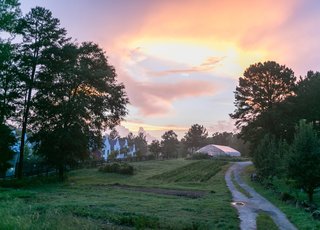 The community revolves around a variety of green spaces, including open fields, farmland, and forests.