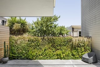 A Historic Victorian in San Francisco Is Meticulously Transformed Into a Modern Family Home - Photo 23 of 26 - A living wall by Habitat Horticulture brings life to the compact backyard.