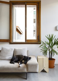An Architect Turns His Small, Dark Apartment in Buenos Aires Into a Bright and Airy Home - Photo 3 of 10 - In the living area, their dog, Rocknrol, hangs out on a suede Copenhagen sofa by Alejandro Sticotti for Net Muebles.