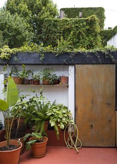 An Architect Turns His Small, Dark Apartment in Buenos Aires Into a Bright and Airy Home - Photo 8 of 10 - Hernán and Lucia were captivated by the flowering wall across the courtyard; they continued the green theme on their patio.