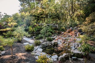A strolling garden and a pond with a waterfall have already been brought back.