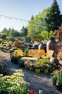 This 120-Year-Old Home With a Greenhouse Is a Gardener's Paradise - Photo 14 of 27 -