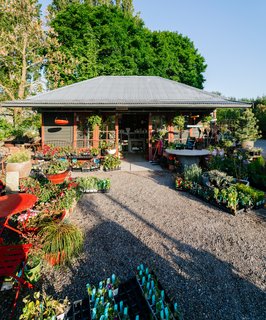 This 120-Year-Old Home With a Greenhouse Is a Gardener's Paradise - Photo 10 of 27 -