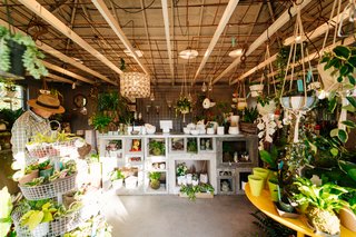 This 120-Year-Old Home With a Greenhouse Is a Gardener's Paradise - Photo 6 of 27 -