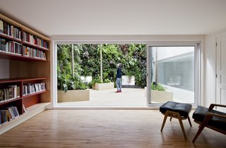 Living Green Walls Bring Jungle Vibes Into a Brazilian Apartment - Photo 1 of 16 -
