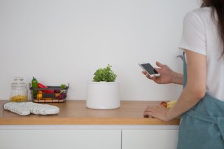 Clueless About Gardening? These 5 Smart Planters Can Help - Photo 6 of 9 -