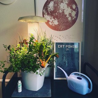 Clueless About Gardening? These 5 Smart Planters Can Help - Photo 7 of 9 -