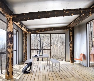 Standing, dead charred timber became the post-and-beam structure, connecting the project with the forest and creating a lasting reminder of its storied past.