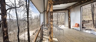 The Phoenix is what owner and architect Eric Logan describes as a cool little folly in the woods. "The whole folly experience is the thing," he says. "It's why I like living in the west."