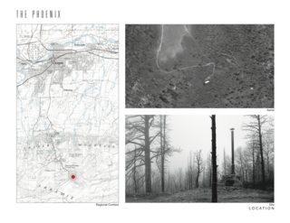 An Architect’s Cabin Rises From the Ashes After a Devastating Forest Fire - Photo 10 of 11 -