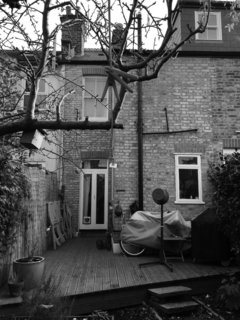 By filling in the "side return"— a narrow outdoor area typical to London terrace houses—Andrew and Emma Boyd were able to double the size of their kitchen. 