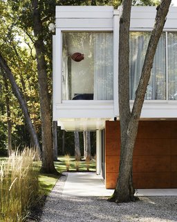 Once Covered in Mold, a Midcentury Gem Outside Chicago Is Reborn - Photo 5 of 15 - Outside, Eva and landscape designers Rosborough Partners thinned the trees directly surrounding the home. The paint on the steel beams is Extra White by Sherwin-Williams, coated in Duration Exterior Acrylic Latex.