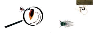 Q&A: Todd Oldham Explains Why Every Designer Should Own a Makeup Kit - Photo 2 of 7 - The bug drawing is from Charley Harper’s Animal Kingdom, which Oldham edited in 2015.