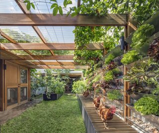 A Sustainable Home Near Sydney Boasts Chicken Coops, Vertical Gardens, and More - Photo 5 of 9 -