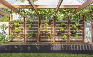 A Sustainable Home Near Sydney Boasts Chicken Coops, Vertical Gardens, and More - Photo 6 of 9 - Cole worked with two landscape companies, Sydney Organic Gardens and Pepo Botanic Design, to create the plant and vegetable gardens and other permaculture features.