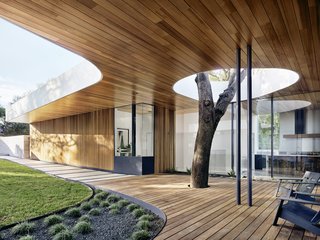 Cover Story: This House in Austin Has a Tree Growing Right Through It - Photo 1 of 10 - Julie and Chris Hill’s home in Austin is built around a pair of massive oak trees, one of which shoots through an ipe deck, past a pair of Loll deck chairs, and into a void in the overhanging roof. "The hole also allows light to penetrate deeper into the house," notes designer Kevin Alter.