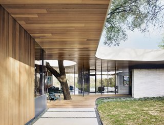Cover Story: This House in Austin Has a Tree Growing Right Through It - Photo 2 of 10 - A limestone brick wall mirrors the curves of the Western red cedar roof, the edges of which are coated in stucco.