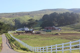 Just north of the fishing town of Bodega, Chanslor Ranch is a 380-acre nature preserve that offers camping, horseback riding, archery, kayaking, paddle boarding, surfing, and more.