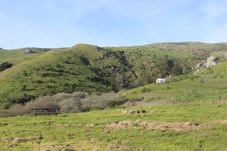 Chanslor Ranch offers drive-in and walk-in campsites, glamping tents, and tipis.
