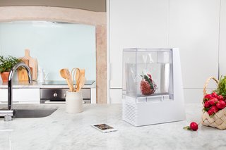 50 New Smart Home Products That Caught Our Eye - Photo 16 of 50 -