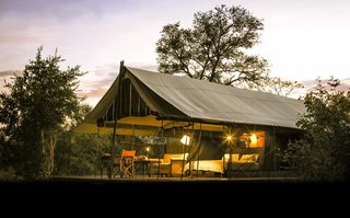 Honeyguide Tented Safari Camps in Kruger National Park, South Africa