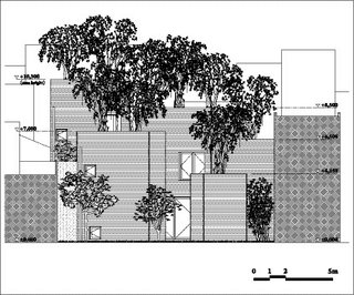 The site elevation.