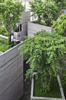 In Ho Chi Minh City, only 0.25 percent of the landscape is covered with greenery.