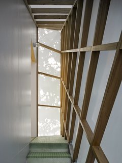 The southern wall of the tree house is made out of a translucent screen. In the afternoons, the staircase catches brilliant shadows from the surrounding tree line.