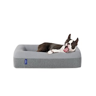 cb2 dog bed