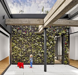 While creating a live/work space at a former garage for Klari Reis and Michael Isard, architect Eric Dumican carved out an atrium on the second floor to bring in light. Three sides open with Fleetwood sliders; the fourth is a living wall by Florafelt Pro System. 