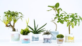 Hiroto Yoshizoe's Plants-Skin planters use hydro-chromic ink to reveal underlying color in the ceramic when the soil inside is dry.