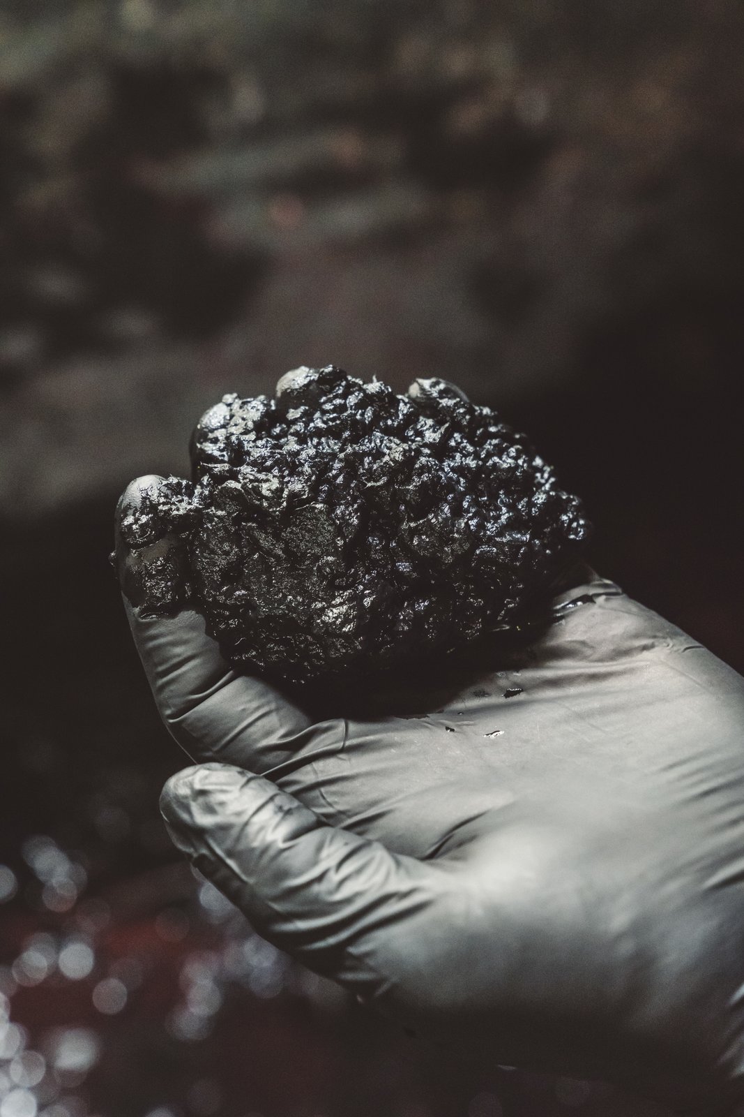 Photo 6 of 19 in Process Watch a 147YearOld Paper Mill Produce a “Black Licorice” Roll Dwell