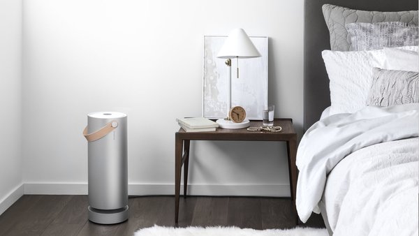24 Purifying Products to Help You Breathe Easy