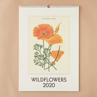 2020 Wall Calendar, Wildflowers