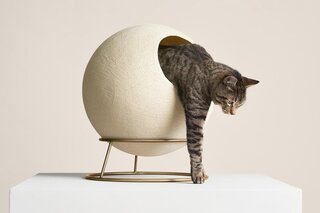 bespoke cat beds