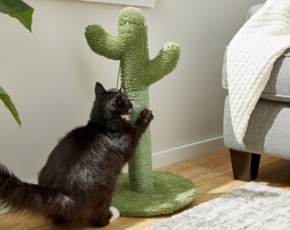 10 Adorable Pet Toys Under $20