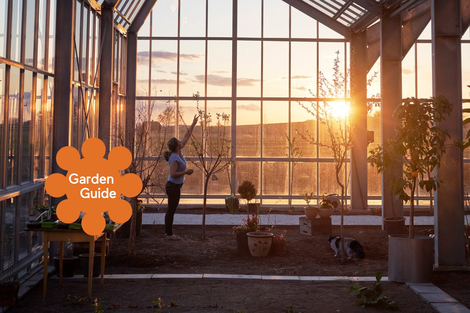 It's Time to Make Your Own Potting Mix - Vimarsana News