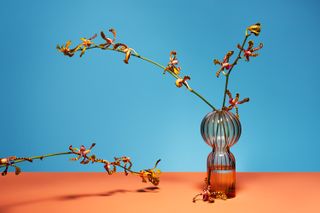 Glassware Traditions We Love From Around the World—and Their Modern Interpretations