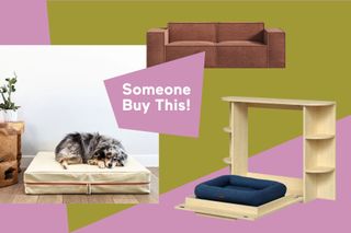 Stylish Dog Beds That Aren’t a Nightmare to Clean