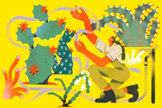 Gardening in Extremes: How to Cultivate a Drought-Tolerant Landscape