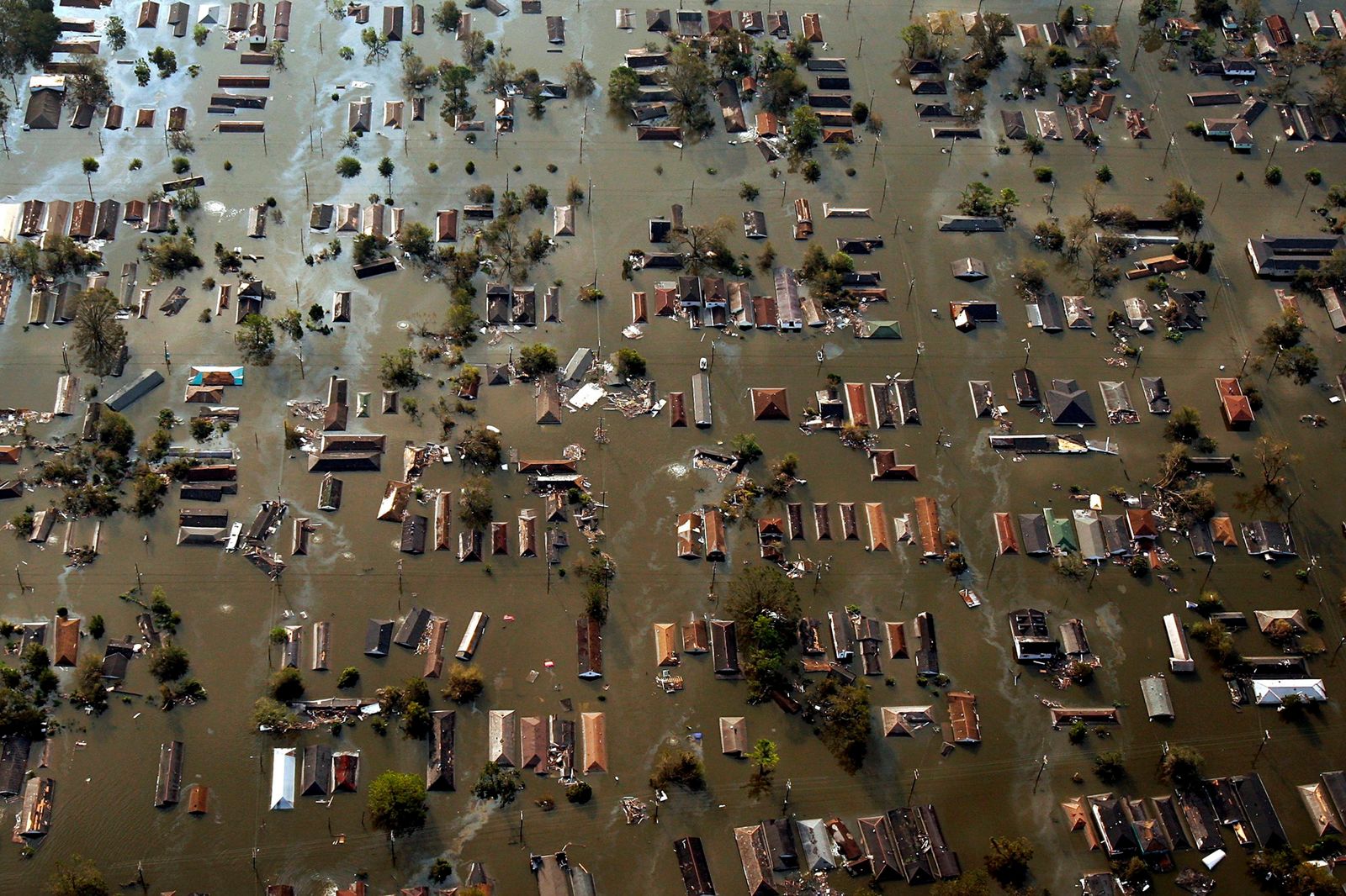 Post-Katrina Gentrification in New Orleans Was a Warning