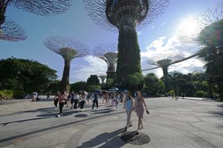 Why Singapore Is Getting Serious About Shade—and Everything Else You Need to Know About This Week