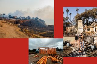 The Year L.A. Burned