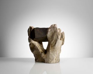 Why Designer Drew Seskunas Sawed Off This Weird Tree Root